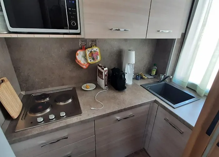 Grazioso Monolocale A בורמיו